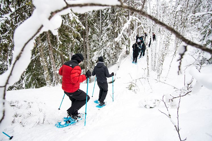 snöskovandring med Upplev Järvsö