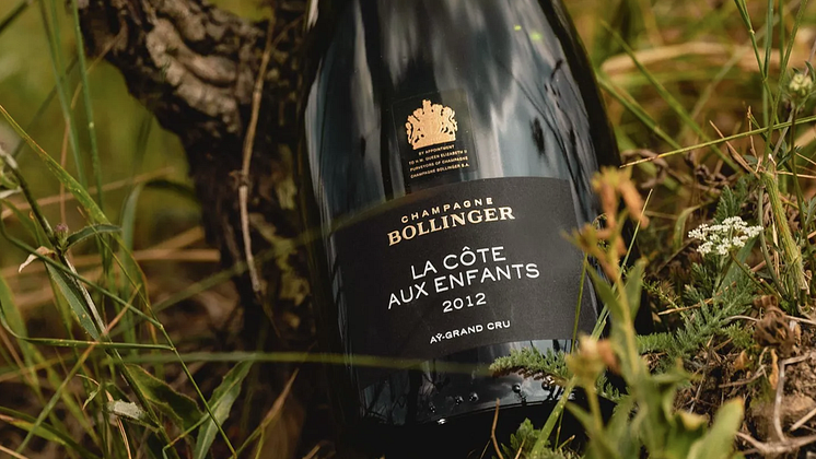 Bollinger_BeautyShot_CAE_2012