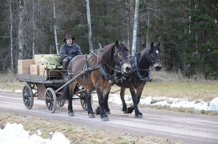 Foror på väg - från Leksand till Ericsson Globe och Stockholm International Horse Show