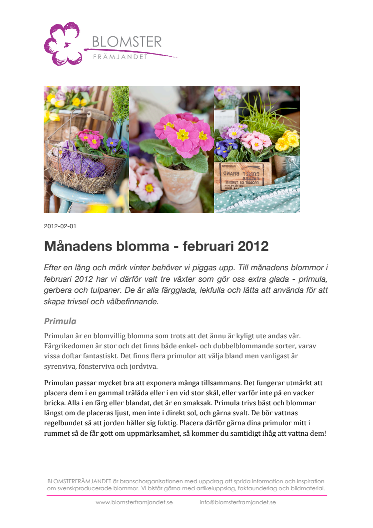 Månadens blomma - februari 2012