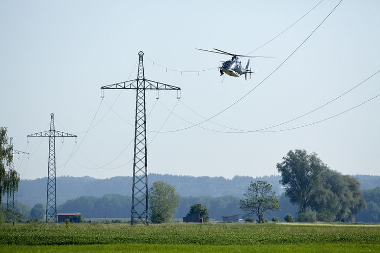 20230926_Vogelschutzmarkierungen Horgau