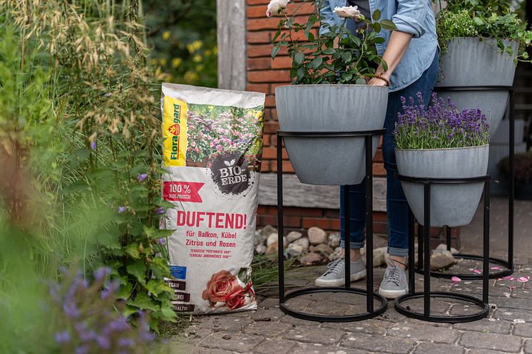 Floragard_Bio-Erde Duftend