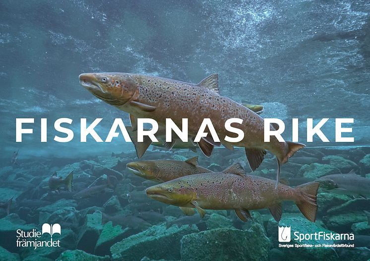 Fiskarnas Rike Vykort.jpg