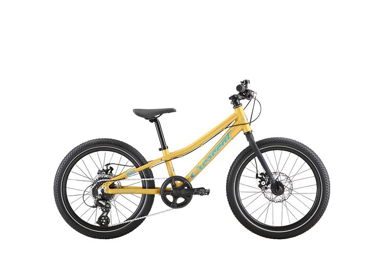 Crescent Rask junior MTB 20"