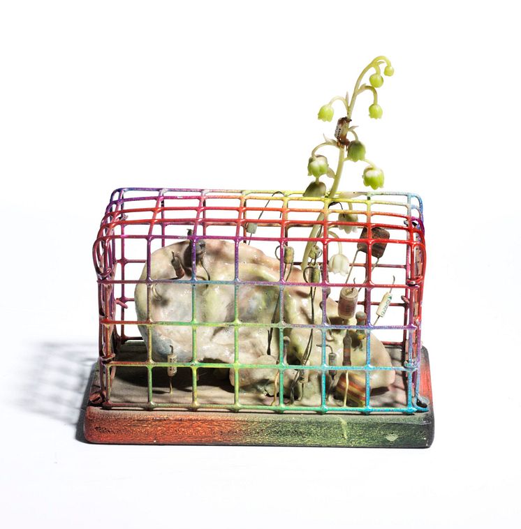 Tetsumi Kudo: Painted cage with an ear (1975-76)