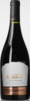 Ventisquero Pinot Noir Gran Reserva, 2008