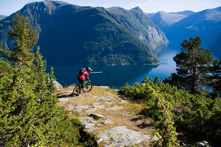 View on Geiranger Fjord-Photo - Sveinung Myrlid - VisitNorway.com (1).jpg