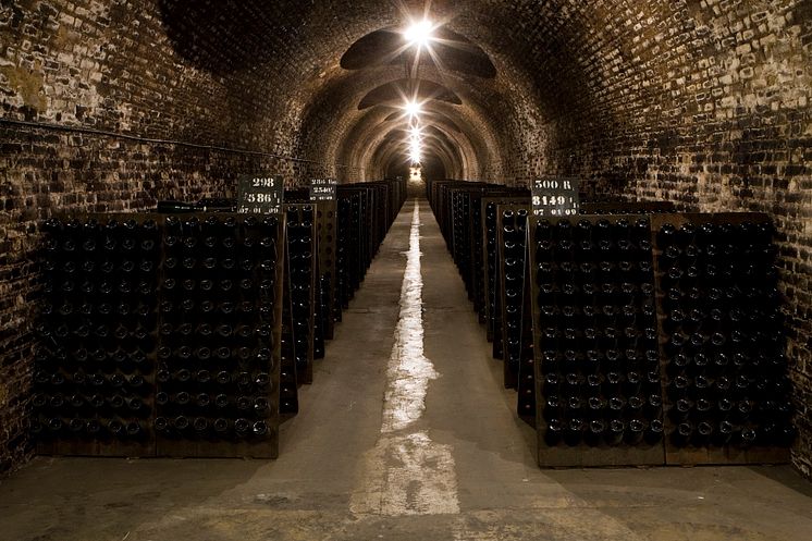 Champagne Ayala cellar