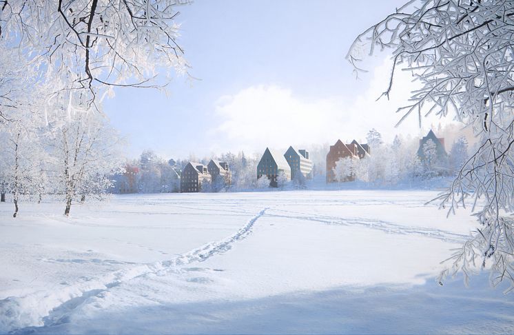 Norra Campusparken, Umeå