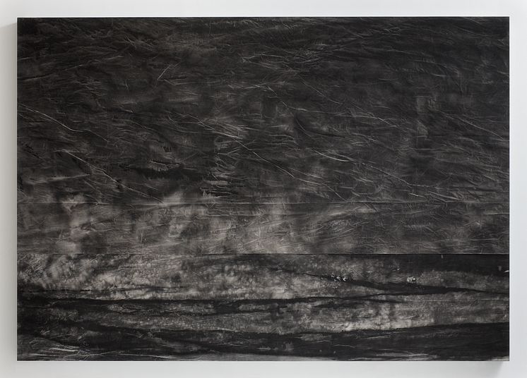 Sam Moyer, Flood Liner I, bläck på duk, 2013