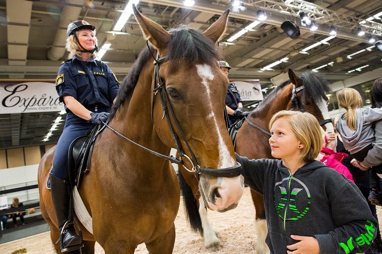 Polisens hästar fick stor uppmärksamhet