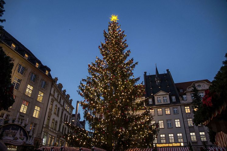 Leipziger Weihnachtsmarkt 2024 - Markt mit Weihnachtsbaum