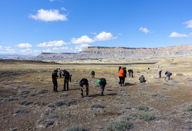 Great Basin Desert