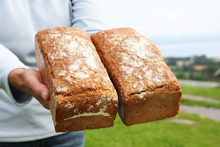 Ousdal brød Baker Hansen