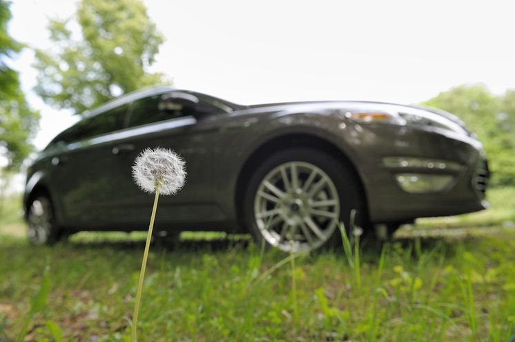 Ford undersöker möjligheten att tillverka komponenter av maskrosor - bild 2