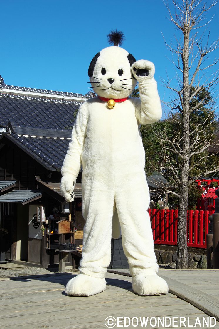 EDO WONDERLAND Nikko Edomura(3)