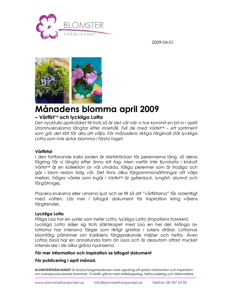 Månadens blomma april 2009 – Vårflirt och lyckliga Lotta  