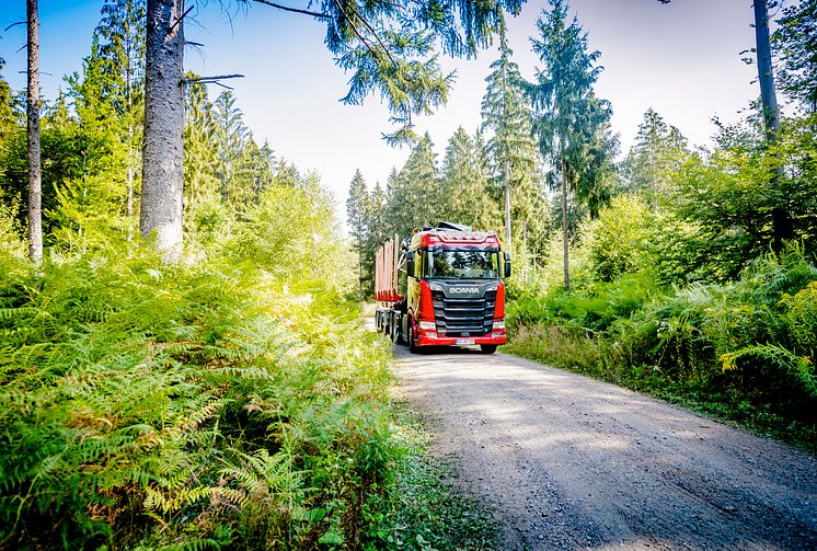 Scania R 520 V8 Holztransport Fahrzeug