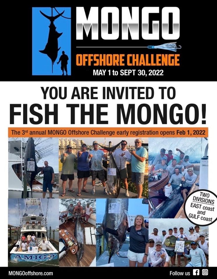 Smartgyro - MONGO Offshore Challenge logo.jpg