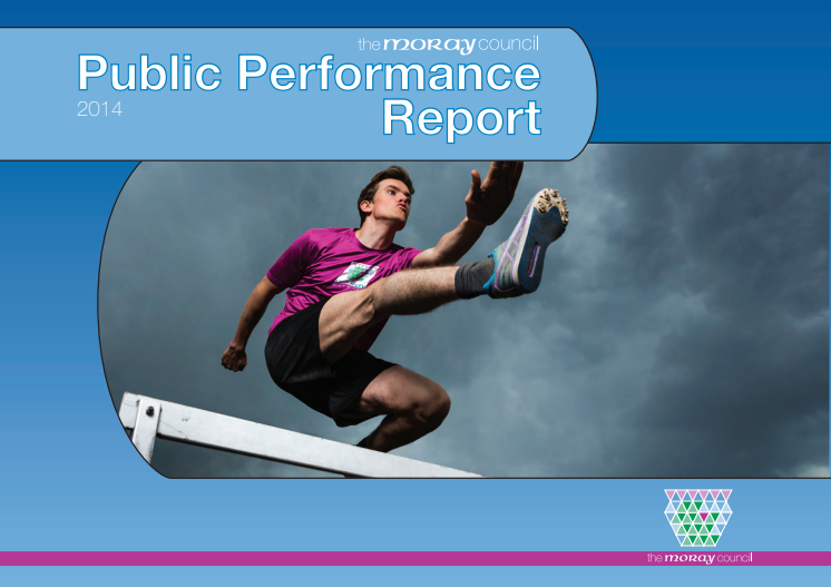 Public Performance Report 2014