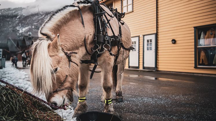 Vintermarkedet i Flåm tilbyr opplevelser for store og små