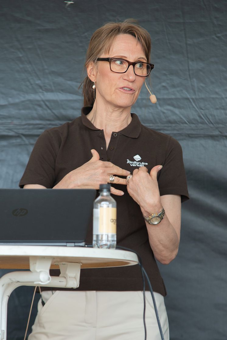 Christina Nordin, Generaldirektör på Jordbruksverket