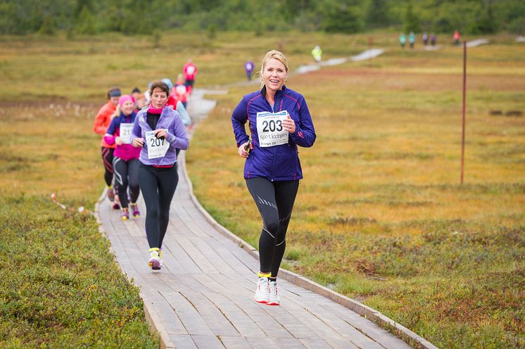 Rekordmange ryper til årets Trysilrypa