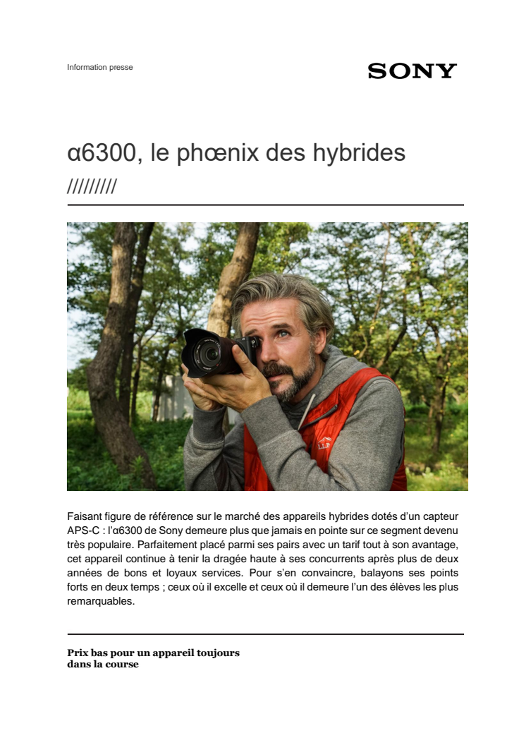 α6300, le phœnix des hybrides