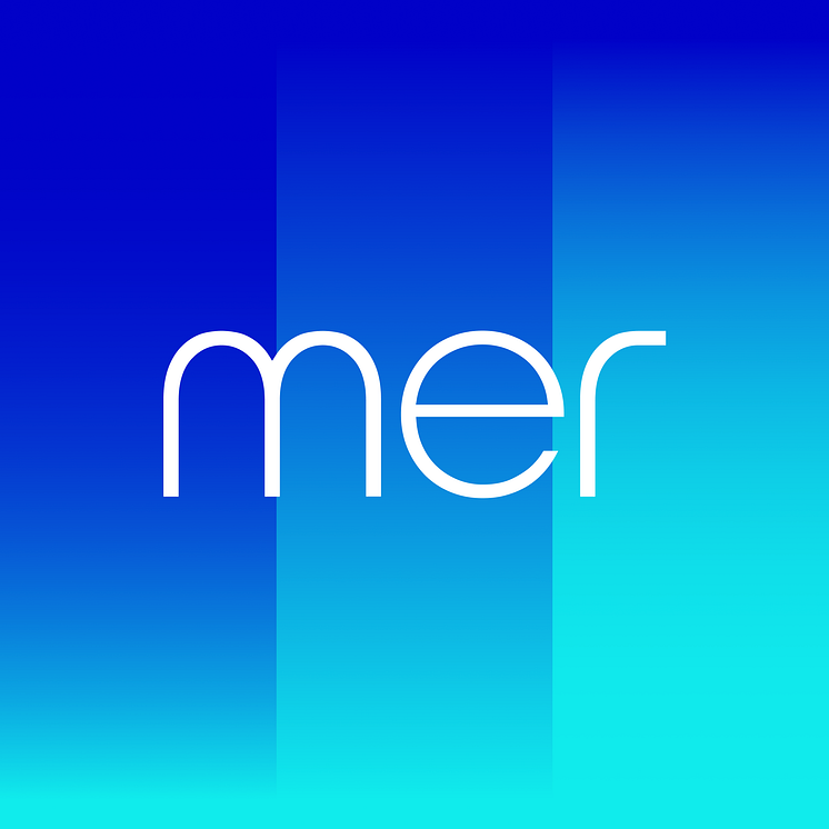 Mer-SoMe.png