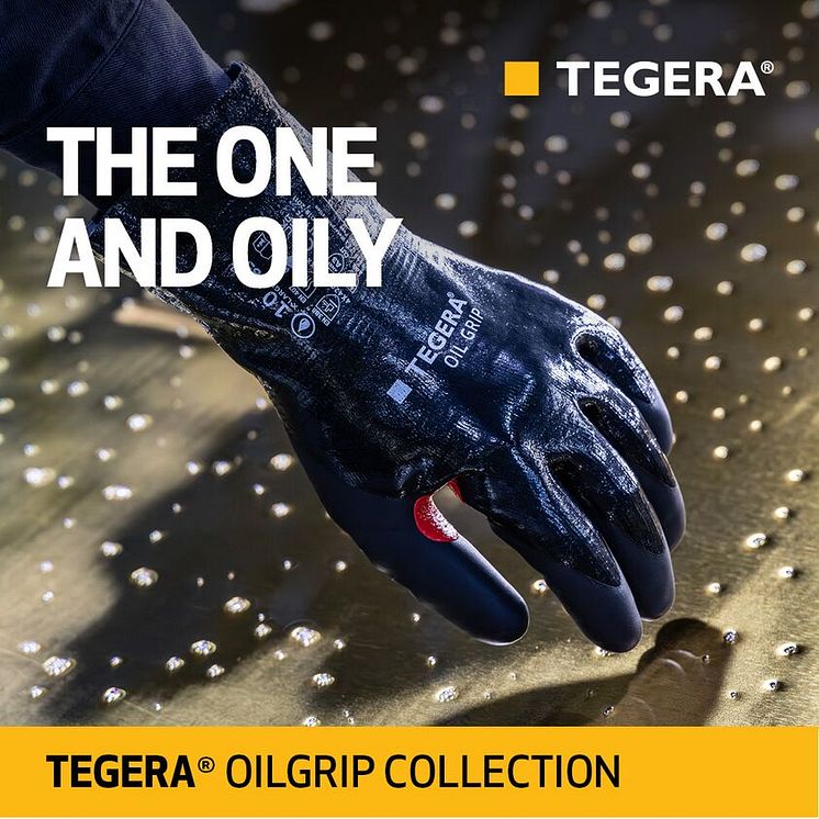 Small-TEGERA_Oilgrip_1080x1080px3.jpg