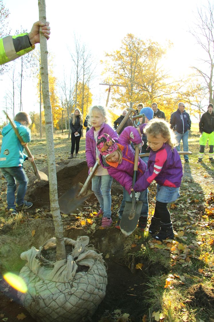 Plantering av Prinsessan Estelles träd