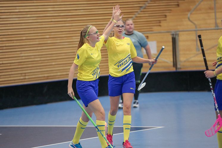 Innebandy Flex, Foto Svensk Innebandy