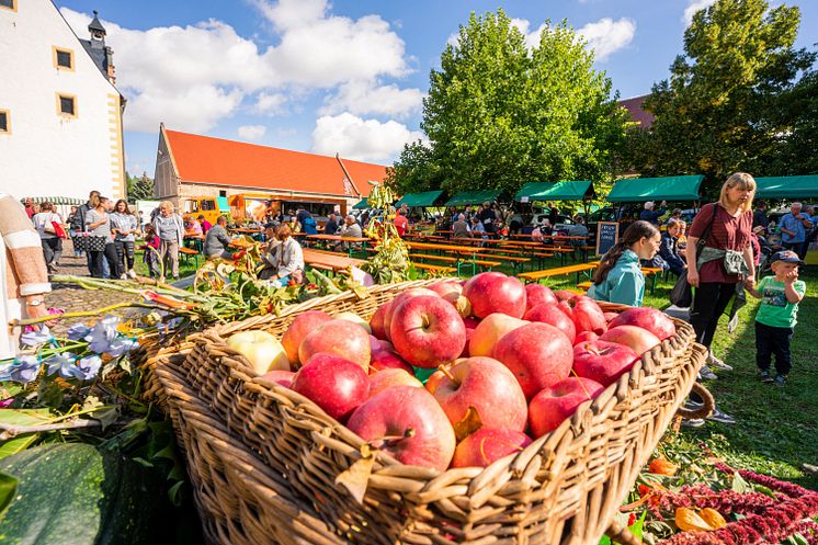 Bauernmarkt Leisnig - Kloster Buch