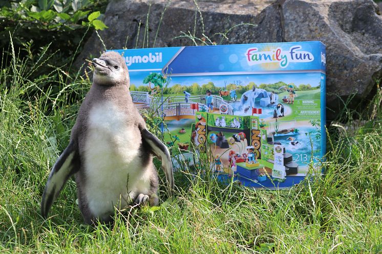 Tierischer Spaß im Zoo Osnabrück