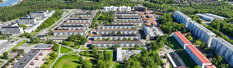 Norra gårdsten_låg