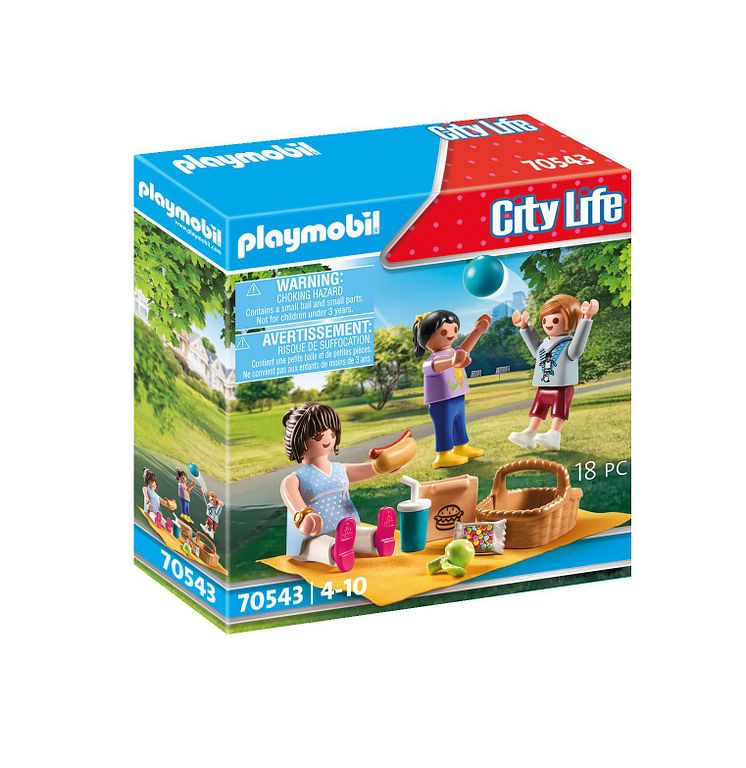 Picknick im Park von PLAYMOBIL (70543)