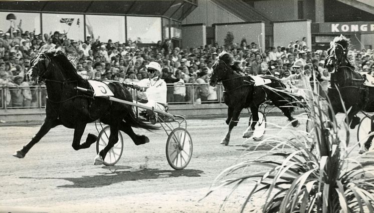 Alm Svarten vinner Elitkampen 1986