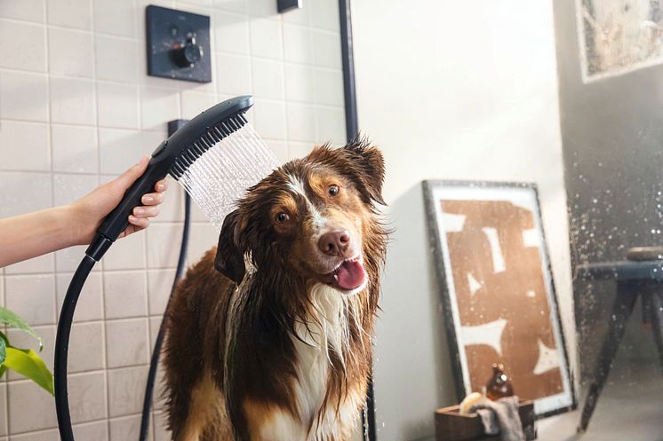 DogShower fra hansgrohe