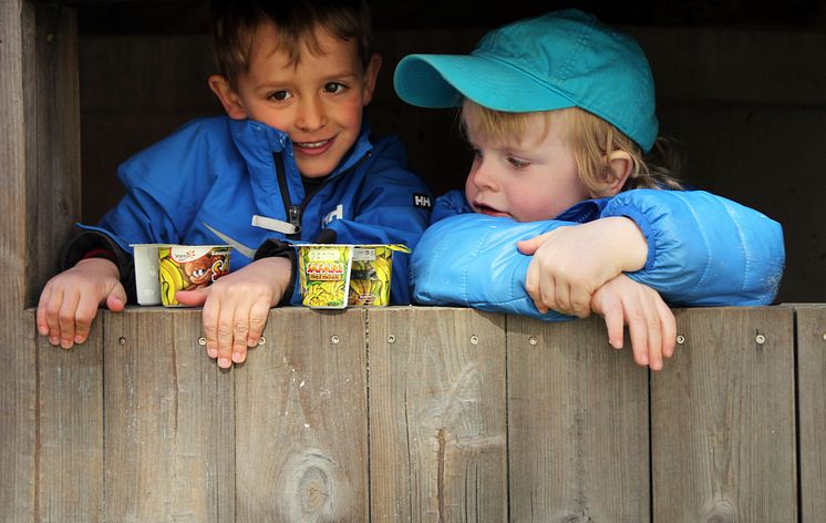 To barnehagegutter og Safari müsliyoghurt 