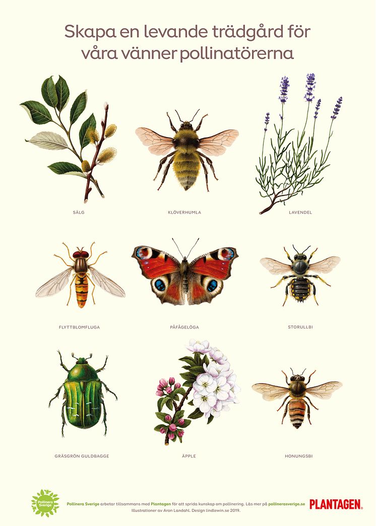 skylt insects 1000x1400 Plantagen small