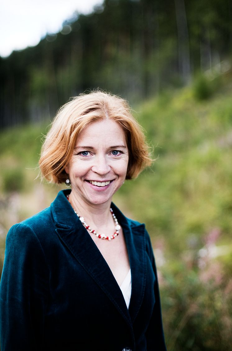 Karin Bodin, koncern-vd 