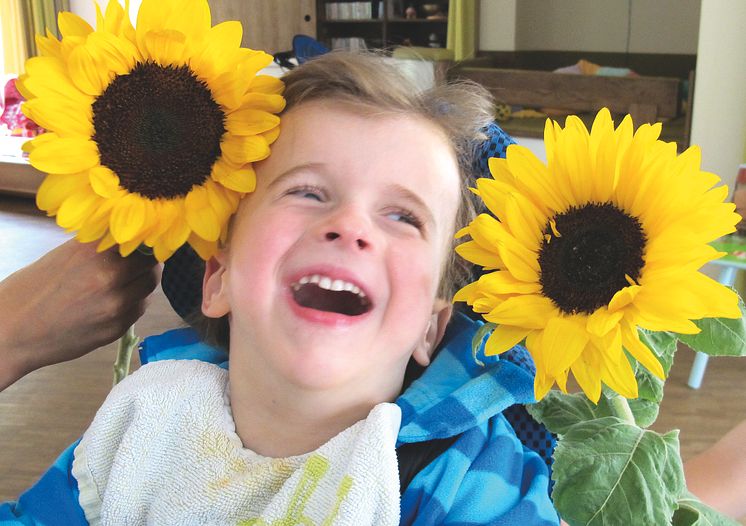 Oberschule Liebertwolkwitz ist „GenialSozial“: Sonnenblumen und Spenden für Bärenherz