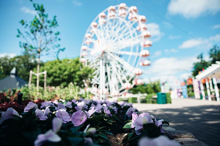 Blomsterfestival_kredit_TivoliFriheden2.jpg