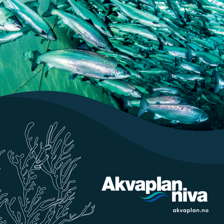 Akvakultur i Akvaplan-niva (norsk brosjyre, 2023)