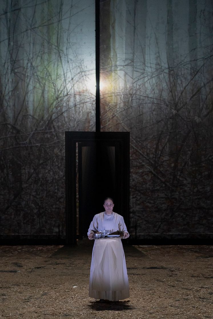 Framsyningsfoto, Lady Macbeth