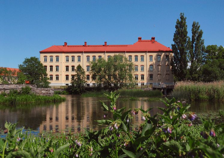 skolan i juni från tidan.jpg