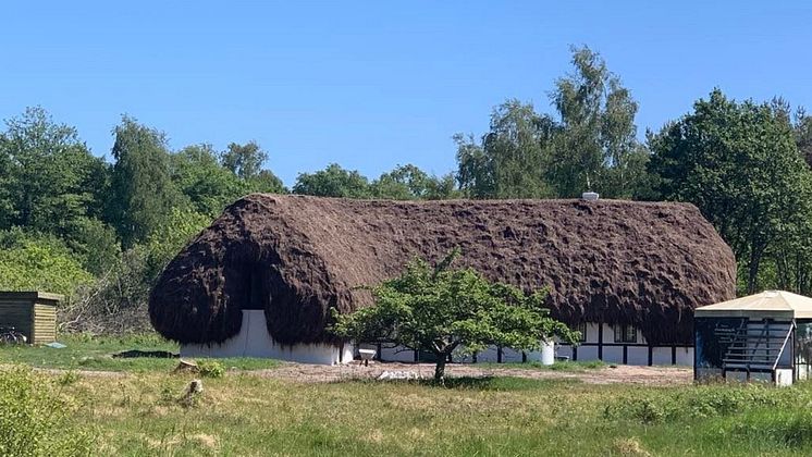 Danzigmannvej 22, tanghus Læsø - Tom Andersson
