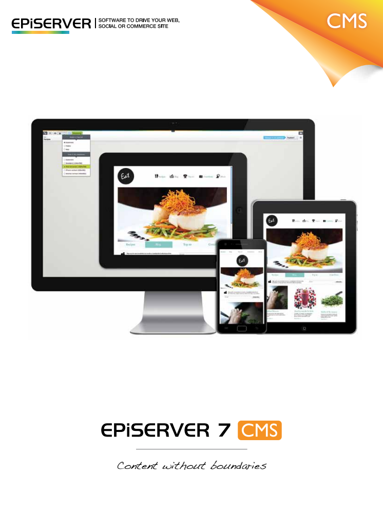 EPiServer 7 CMS produktbroschyr