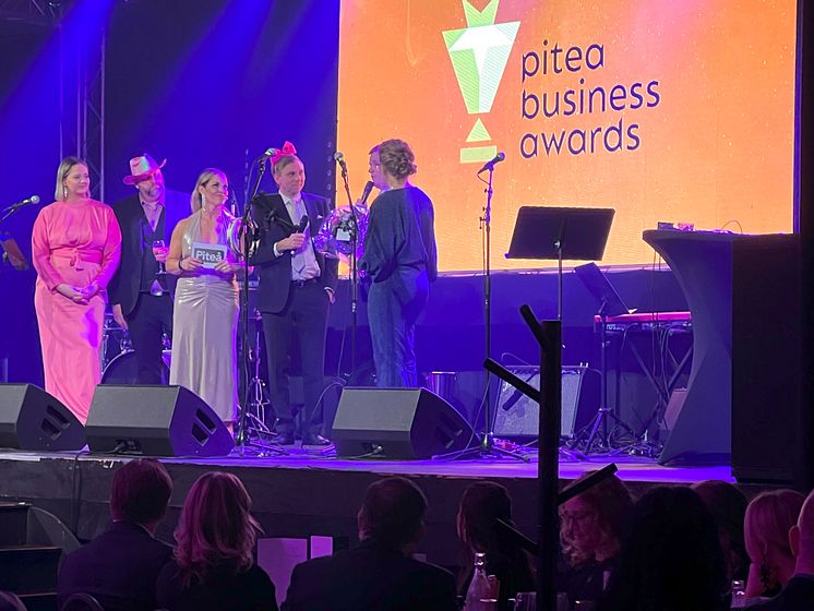 Piteå business awards
