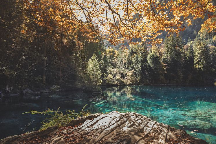 Berner Oberland: Blausee 